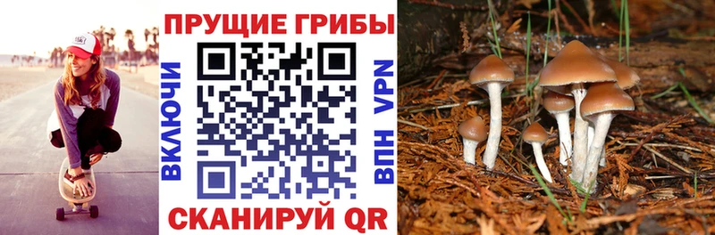 Галлюциногенные грибы GOLDEN TEACHER  Кодинск 