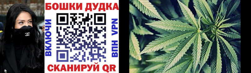 Марихуана сатива  купить наркоту  Кодинск 